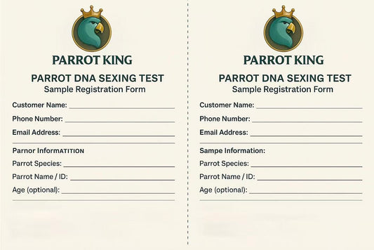 Parrot DNA Sexing Test | 鹦鹉性别鉴定
